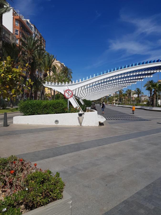 Apartament Carmen Торевиеха Екстериор снимка