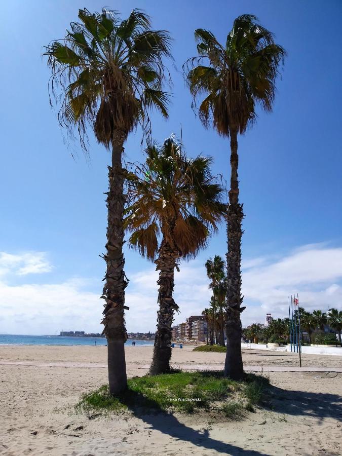 Apartament Carmen Торевиеха Екстериор снимка